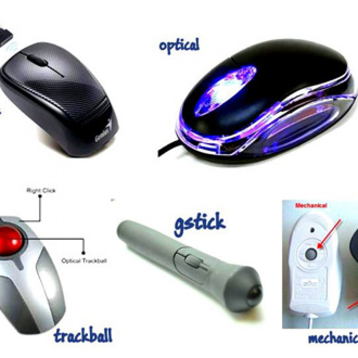 мышка pc 150 white. части мышки для компьютера название. змея обернулась вокруг компьютерной мышки. скрин компьютерной мыши. части компьютерной мыши.